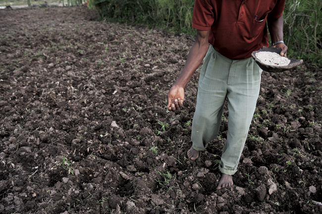 Nurturing agriculture