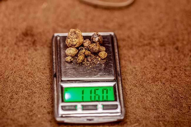 Golden opportunity
