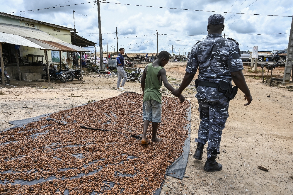 I. Coast court jails 22 for trafficking children to cocoa farms