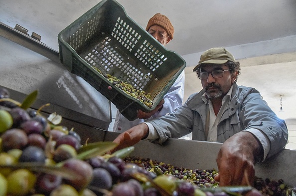 Algerian farmer