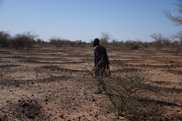 Great Green Wall