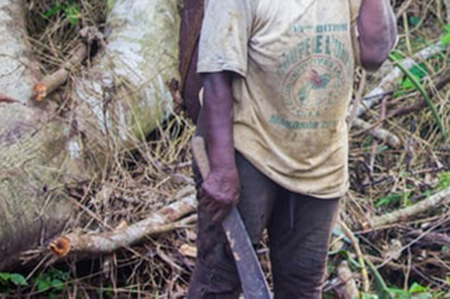 DRC