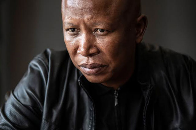 Julius Malema