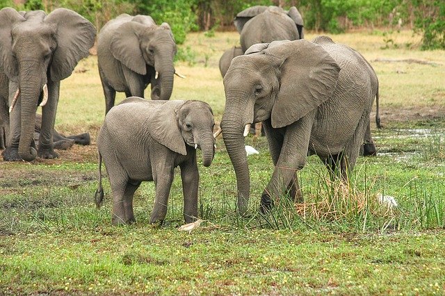 Kruger National Park