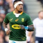 springbok player