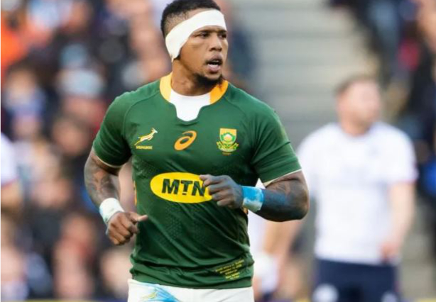 springbok player