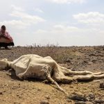 Somalia drought