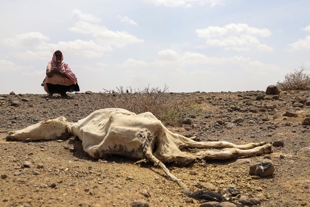 Somalia drought