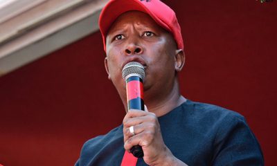 Julius Malema
