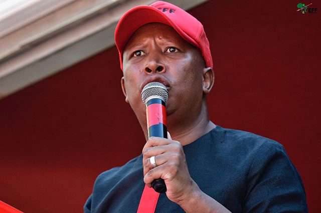 Julius Malema