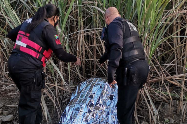 PICS | Horrifying discovery: Durban farmer finds body with gunshot wounds in canefield