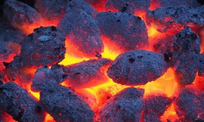 Coal