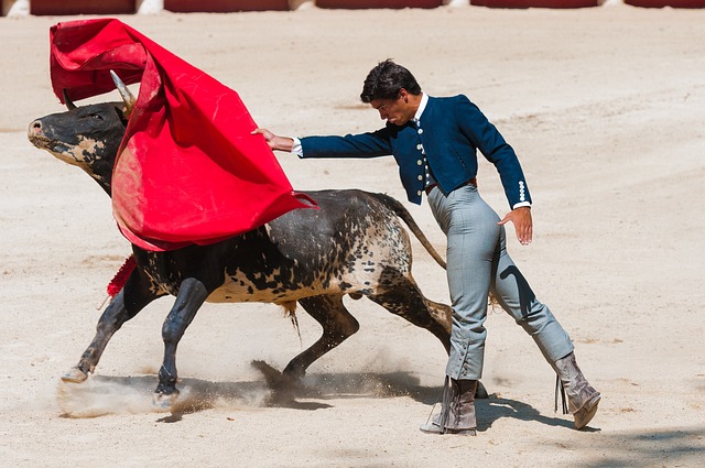 bullfighting