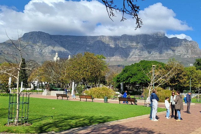 Cape Town Summer Market