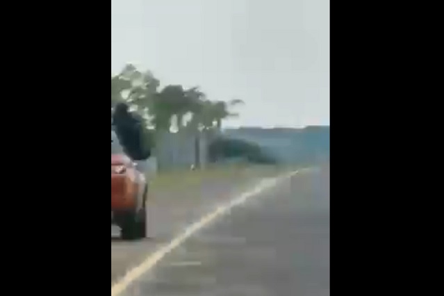 Reckless Driver