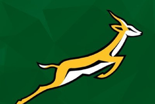 South Africa rugby