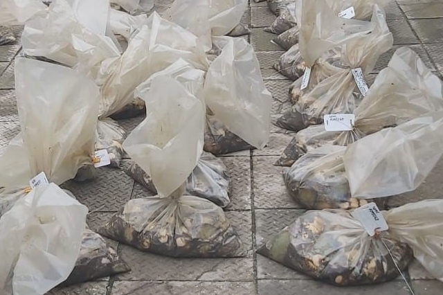 abalone confiscated