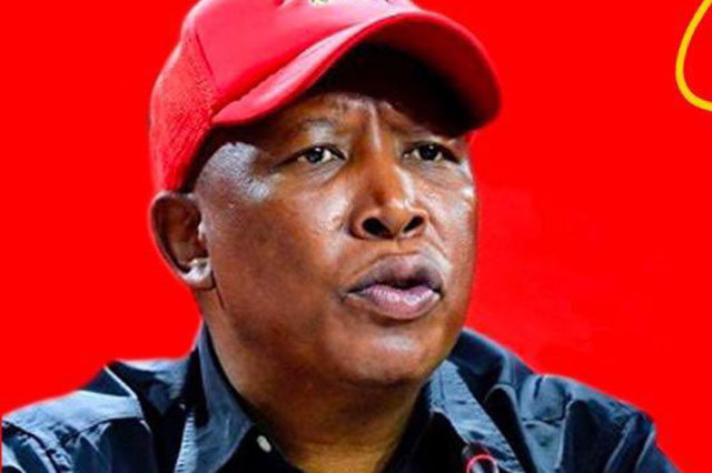 Malema