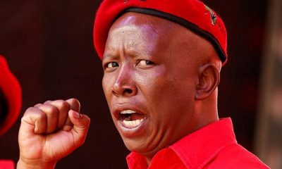 Julius Malema