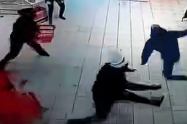 WATCH | Video of 'Rasta' slide-tackling an alleged thief goes viral