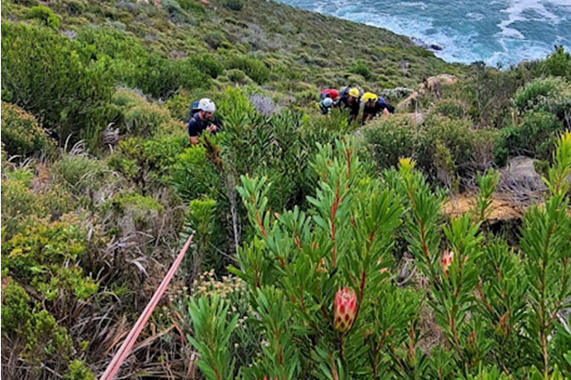 SEE | Woman survives after car plunges down Chapman's Peak Drive