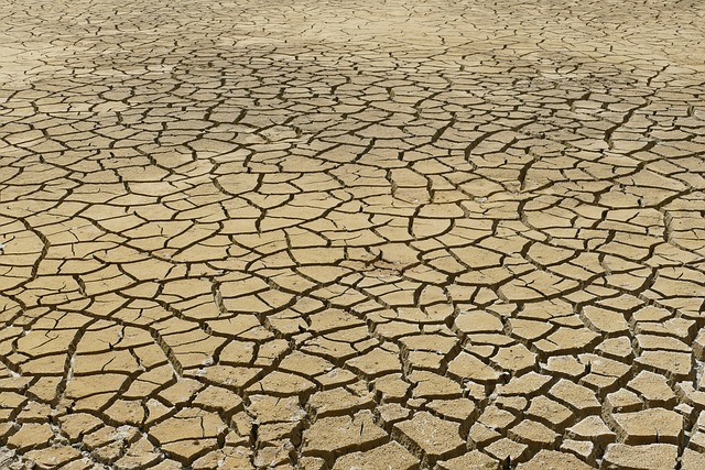 Climate change