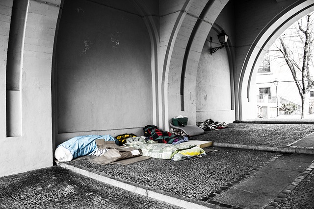 Asylum Seeker