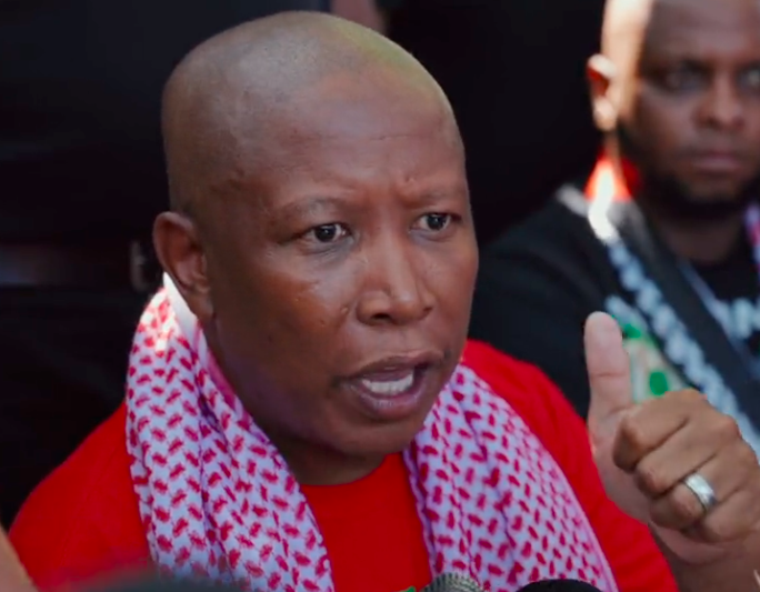 Malema