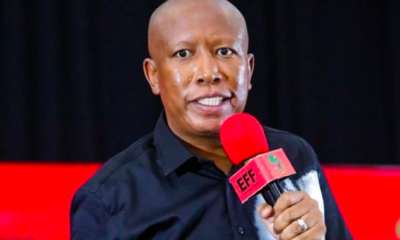 Julius Malema