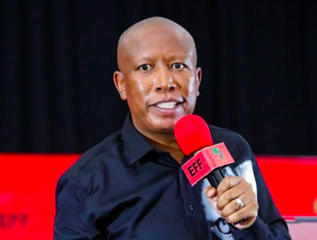 Julius Malema