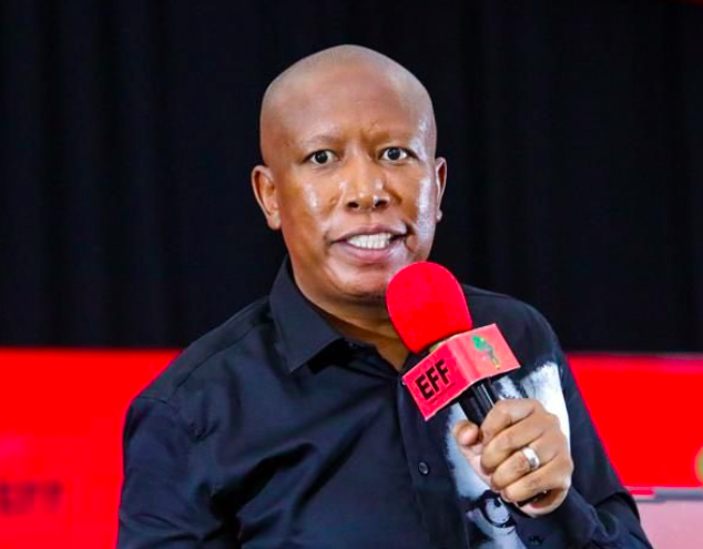 Julius Malema