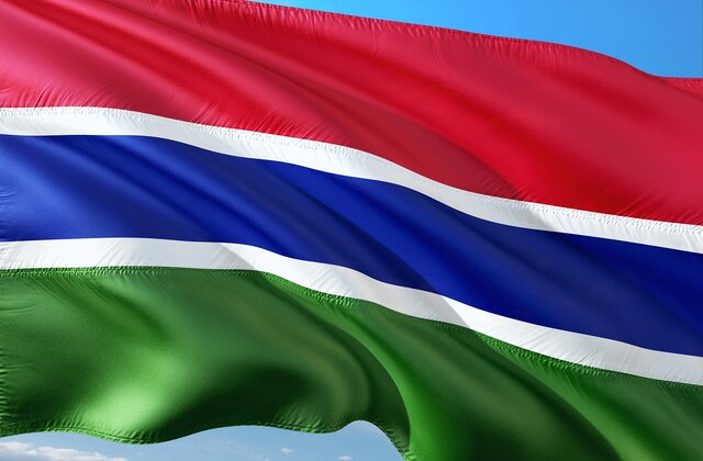 Gambian Flag