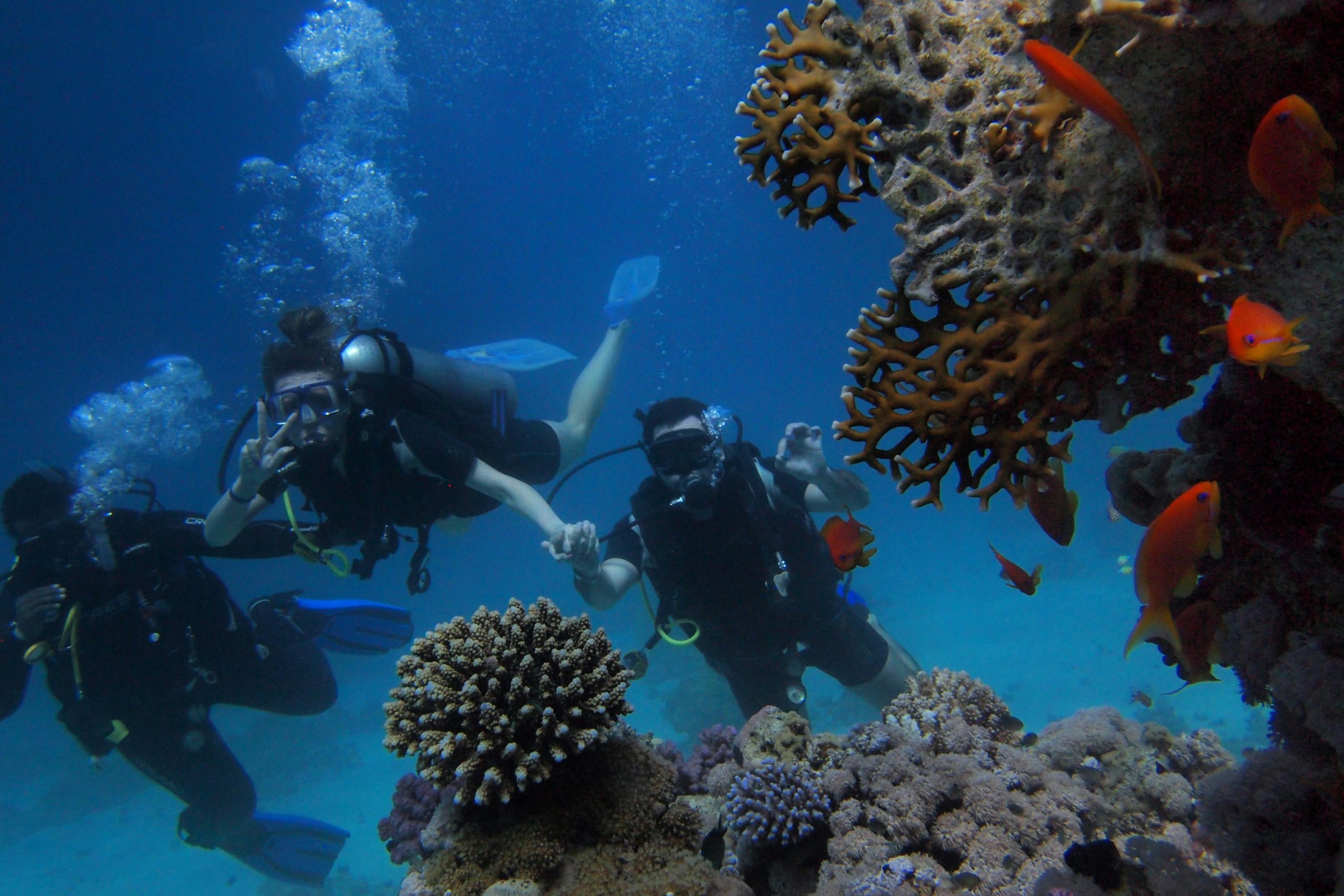 Green tourism at Red Sea