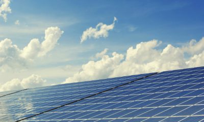 Renewable energy solar farm