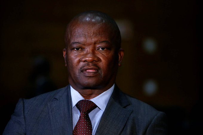 Holomisa