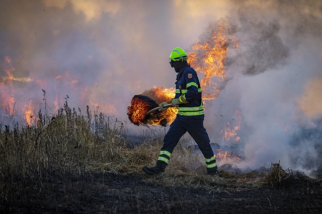 Wildfire