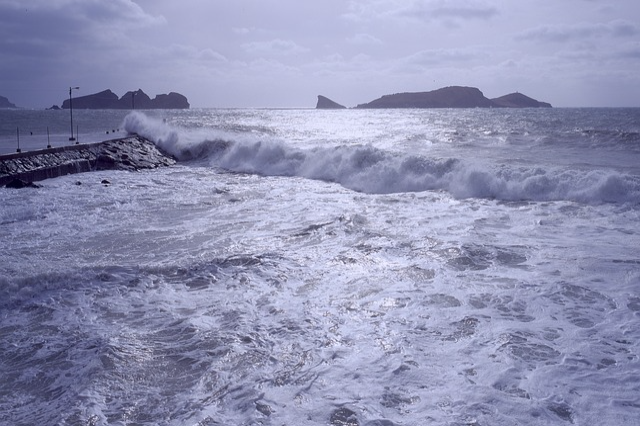 Typhoon