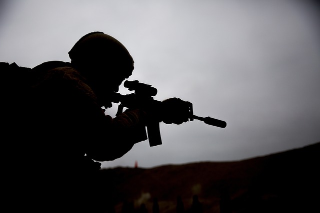 SANDF