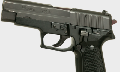 Gun
