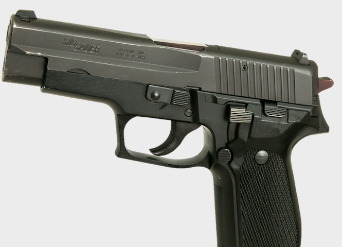 Gun