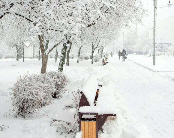 Snow