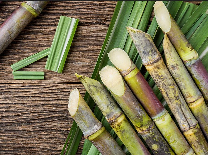 Sugar industry