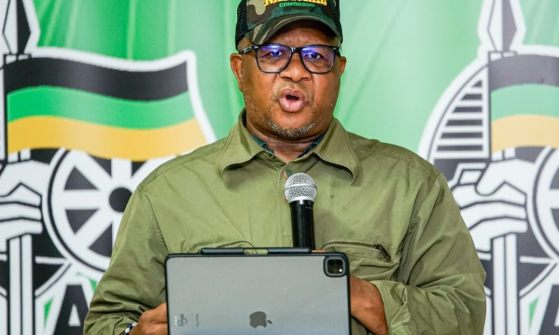 Fikile Mbalula