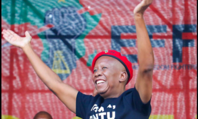 Malema