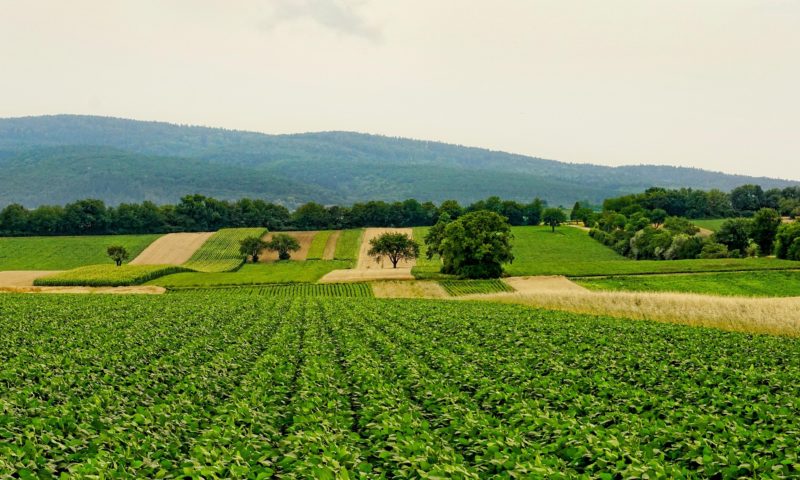 Land