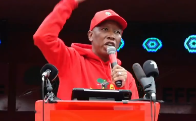 Julius Malema