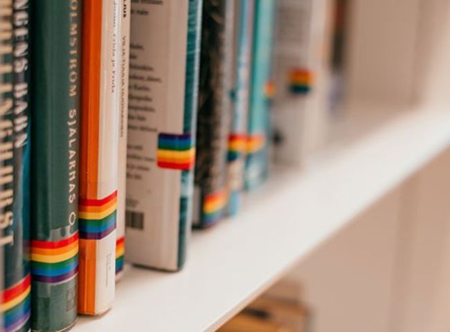 LGBTQ education