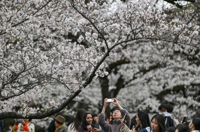Japan