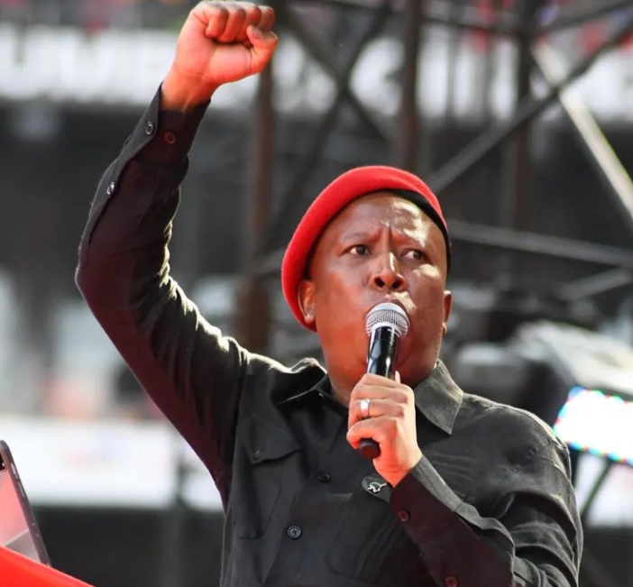 Malema