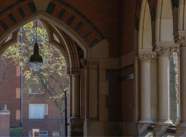 Havard